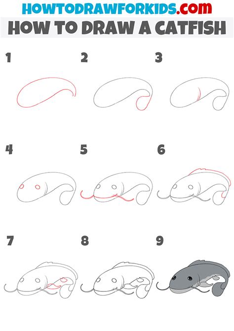 How to DRAW a CATFISH Easy Step by Step